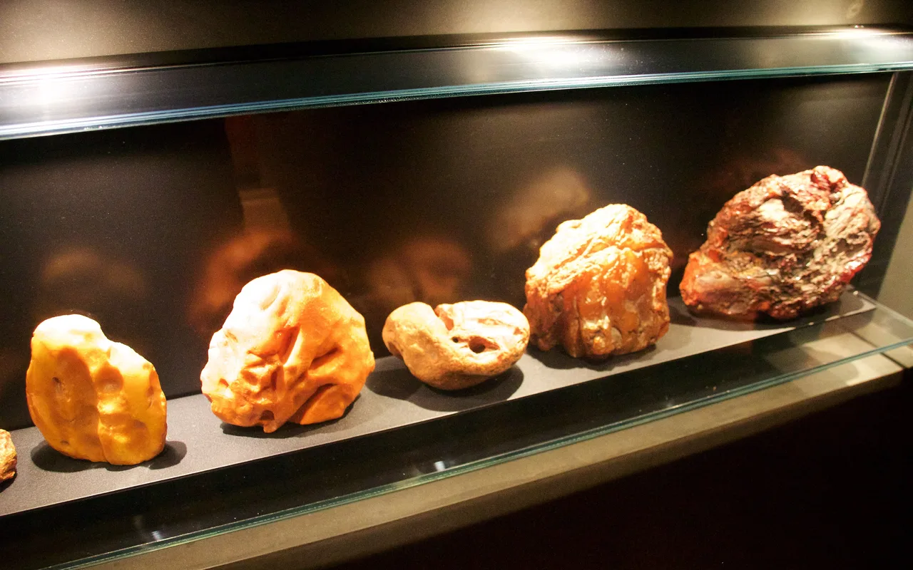 Raw amber nuggets displayed in the Malbork Castle amber collection
